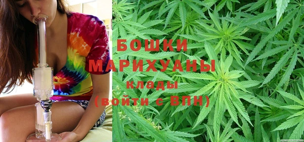 стаф Волосово