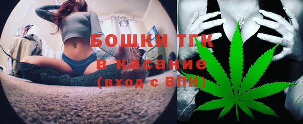 стаф Волосово