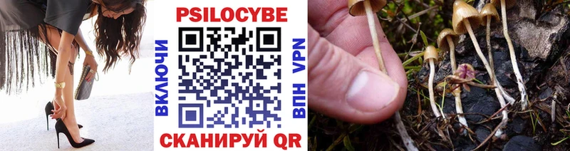 наркошоп  Верея  Галлюциногенные грибы GOLDEN TEACHER 